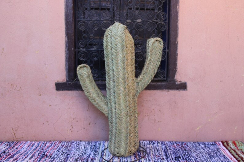 CACTUS POMPEYA - SPC DREAM WEDDING