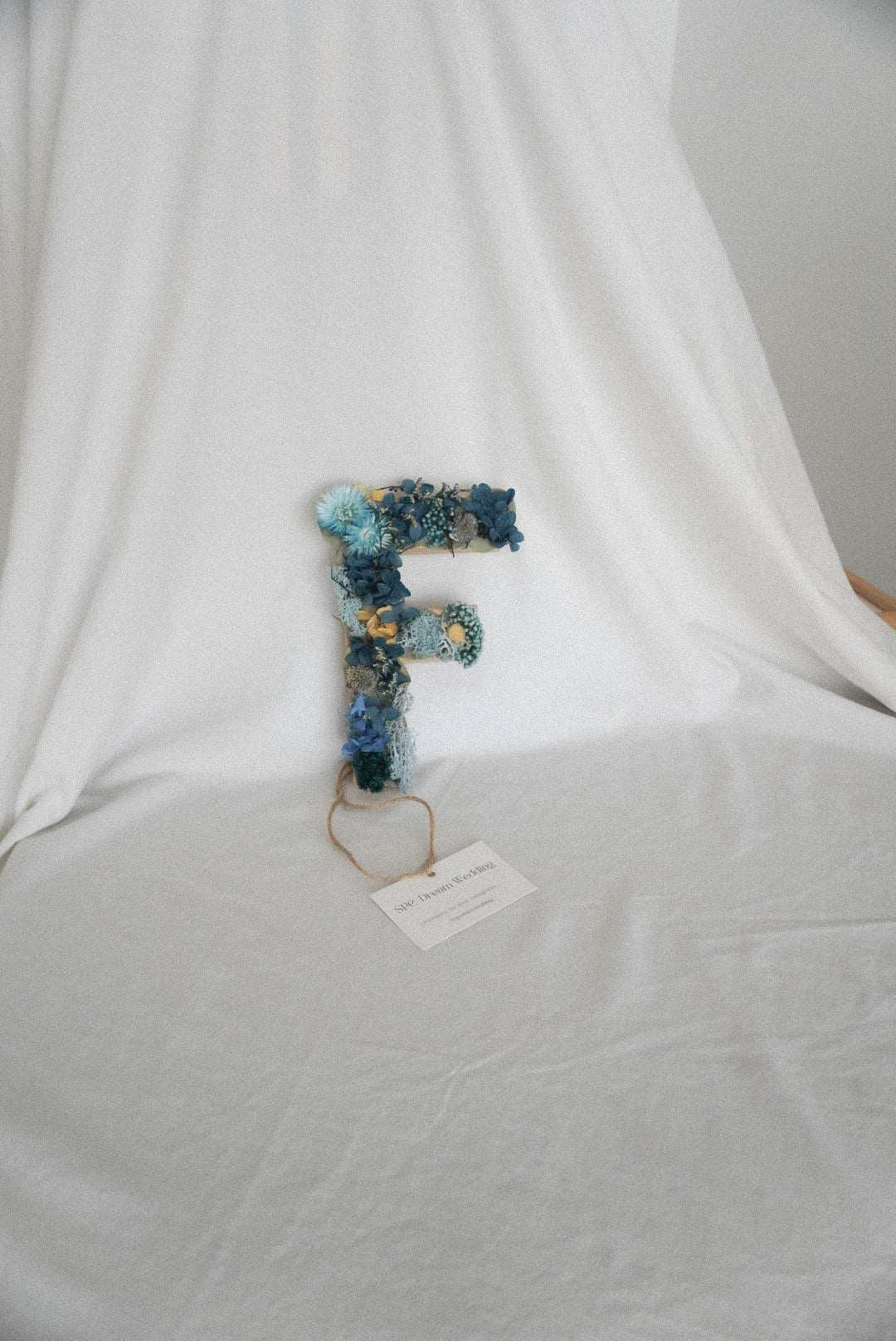 INICIAL-F - SPC DREAM WEDDING