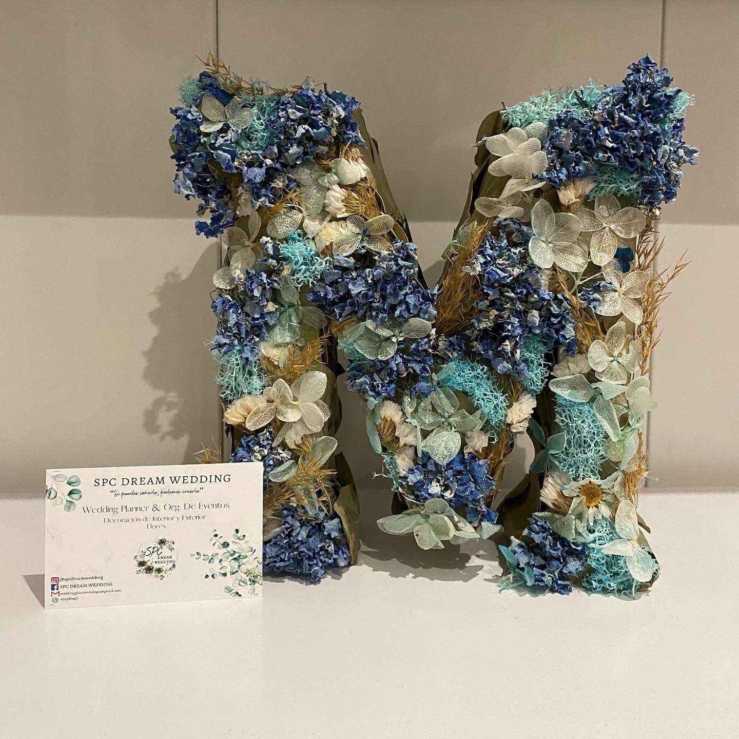 INICIAL - SPC DREAM WEDDING