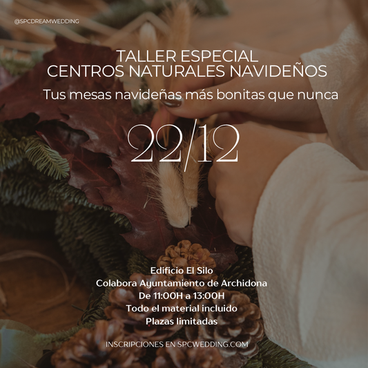 TALLER CENTROS NATURALES (ARCHIDONA) 22 de Diciembre